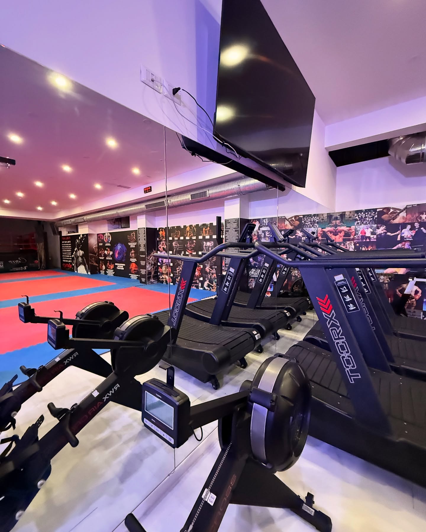 Area cardio del Sorrento Boxing Club