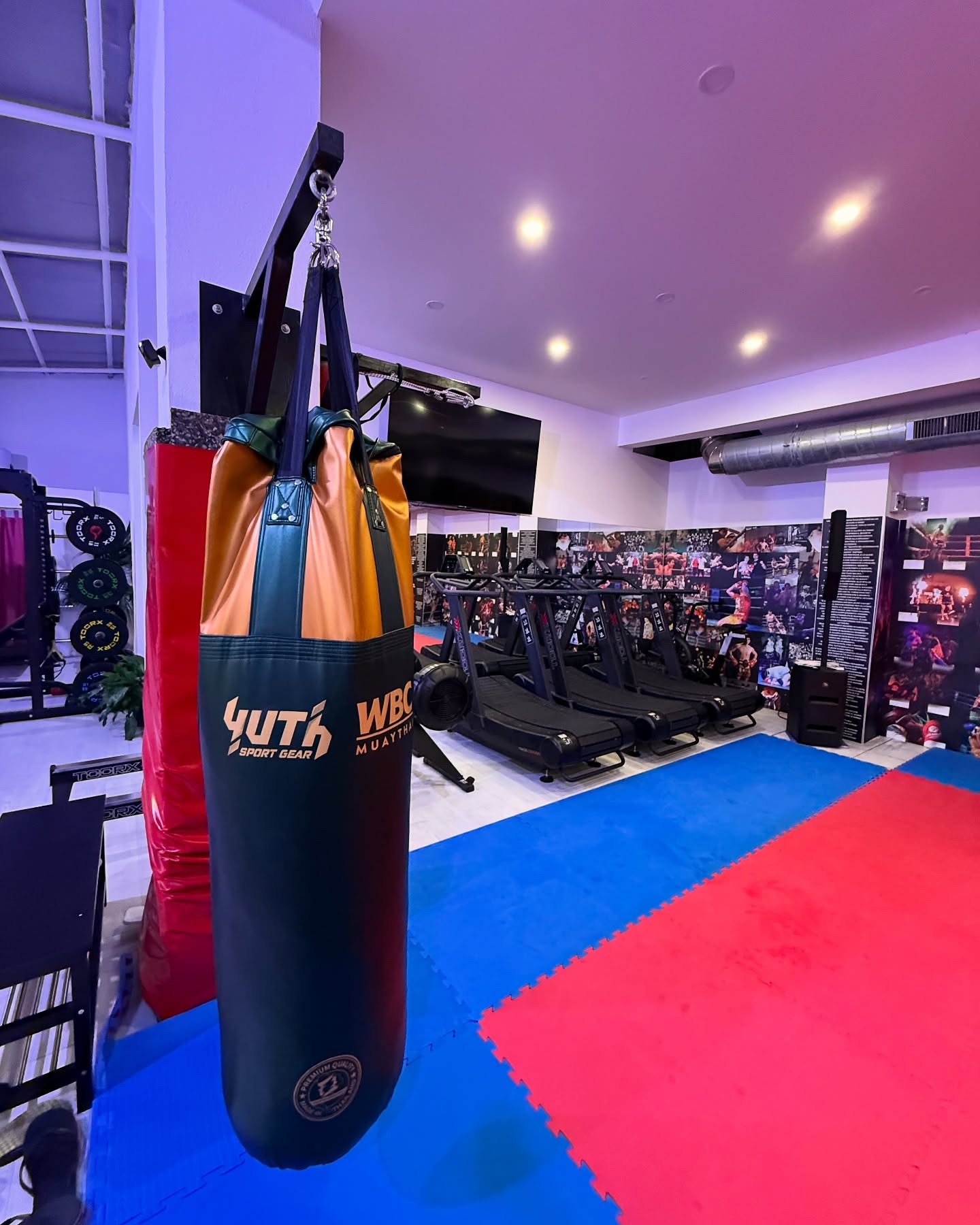 Sacco da allenamento e area attrezzi della palestra